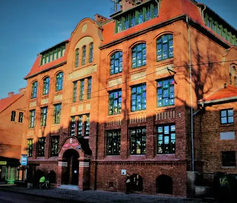 Klasa 4 w terenie: obserwacje przyrody i sadzenie cebulek na szkolnej grządce