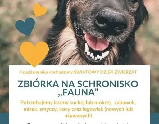Świetlica szkolna organizuje zbiórkę dla schroniska „Fauna”