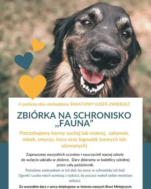 Świetlica szkolna organizuje zbiórkę dla schroniska „Fauna”