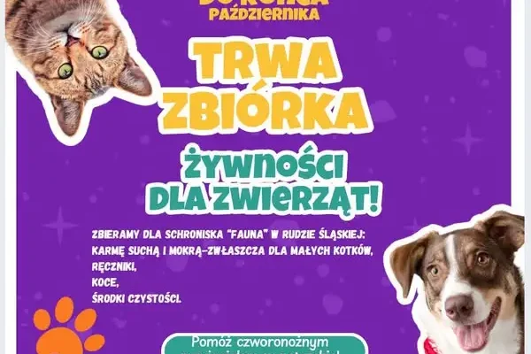 Zbiórka darów dla schroniska w Rudzie Śląskiej – dołącz i Ty!