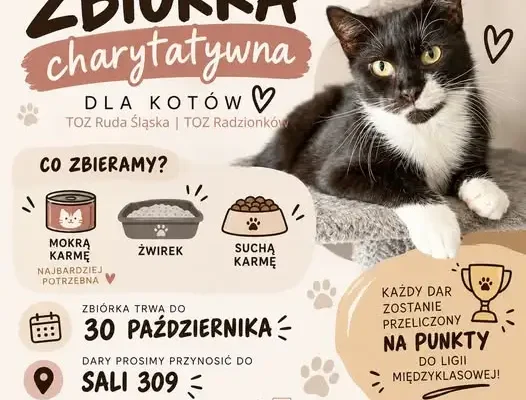 Zbiórka dla kotów w ZS3 Ruda Śląska – pomóż i zdobądź punkty dla swojej klasy