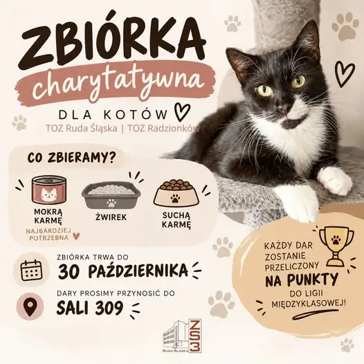 Zbiórka dla kotów w ZS3 Ruda Śląska – pomóż i zdobądź punkty dla swojej klasy
