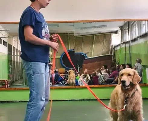 Dogoterapia w świetlicy szkolnej – uczniowie klas terapeutycznych poznali zasady postępowania z psami