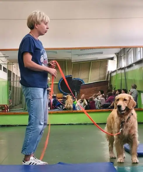 Dogoterapia w świetlicy szkolnej – uczniowie klas terapeutycznych poznali zasady postępowania z psami